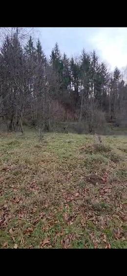 Teren de 3000 mp, în Văliug