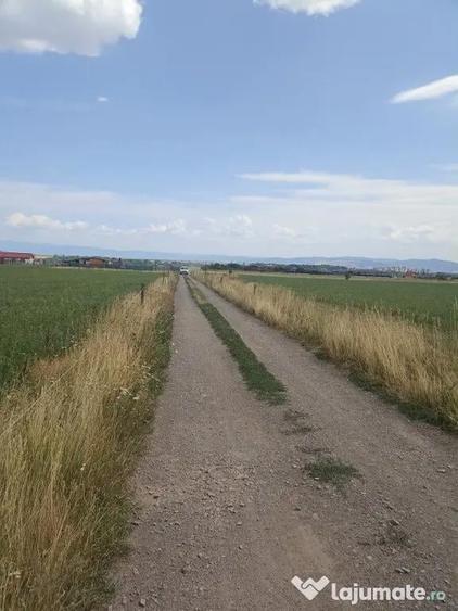 De vanzare terenuri extravilane in Sfantu Gheorghe - 5