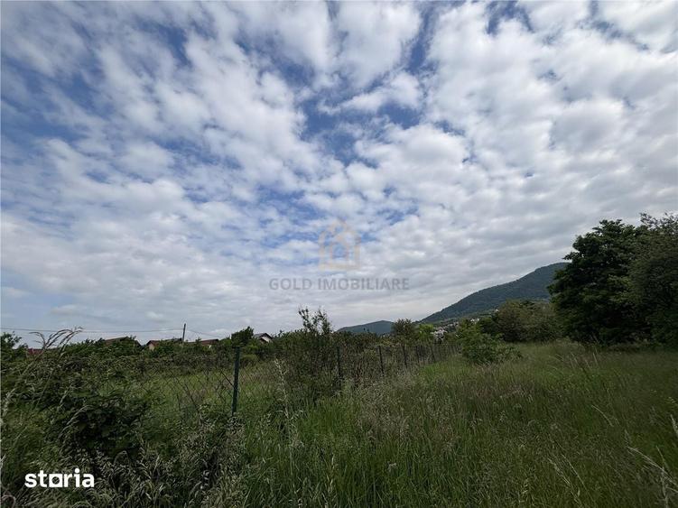 Teren de 3700 mp, în Valea Borcutului