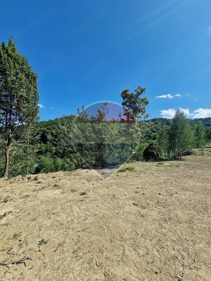 Casă cu 3 camere cu Teren 6000 Mp în Central