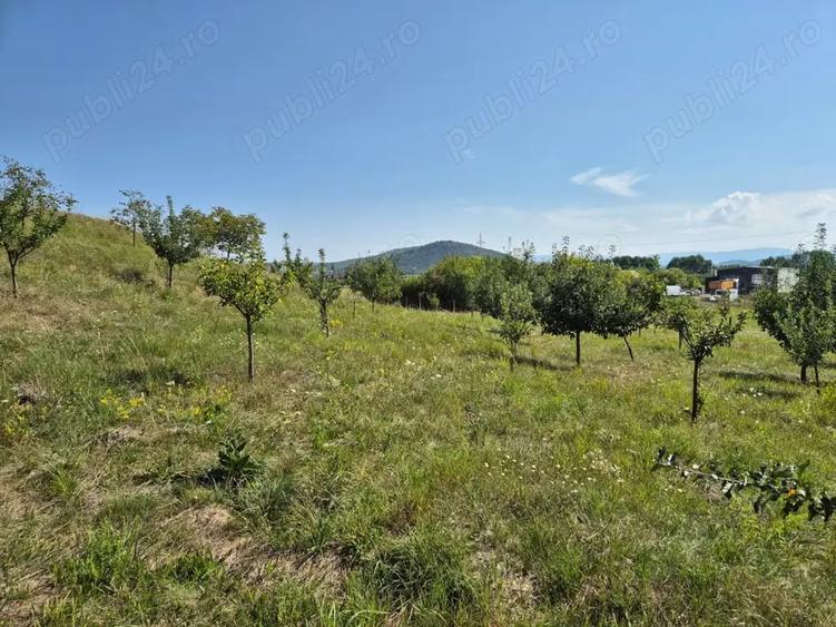Teren de 12300 mp, în Crainimăt