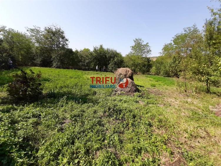Casă individuală cu 3 camere cu Canalizare în Ohaba
