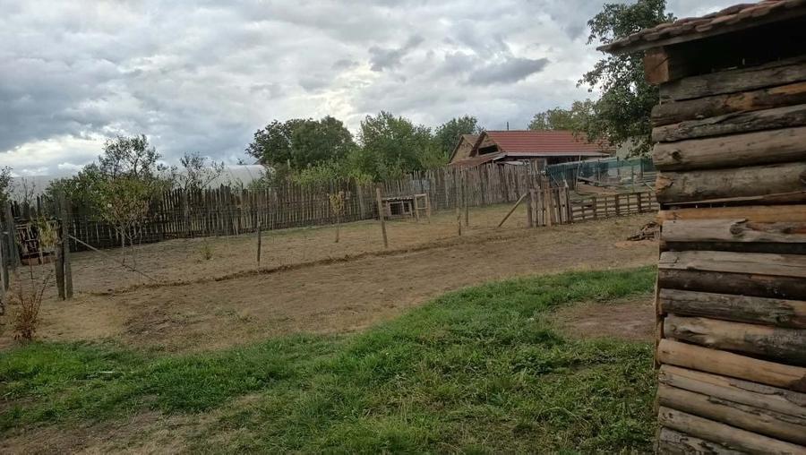 Casă cu 3 camere în Agrișu Mare