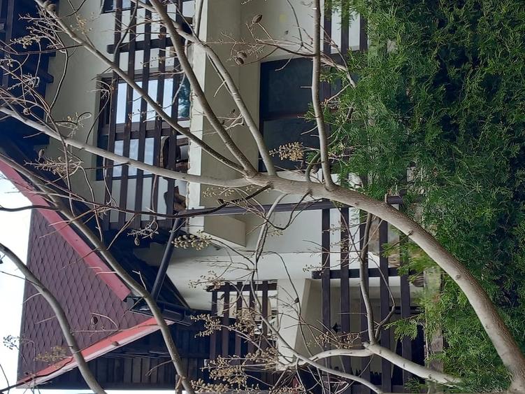 Casă cu 6 camere cu Teren 250 Mp în Central