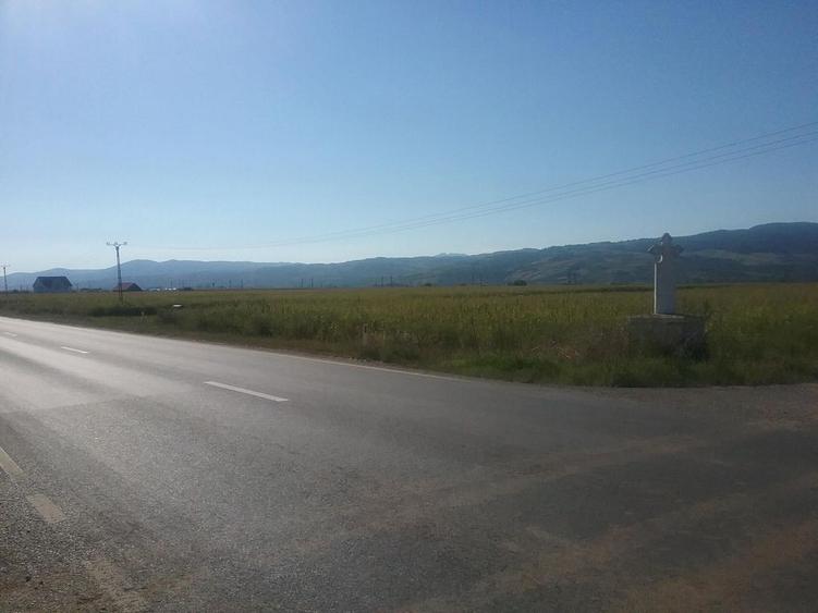 Teren intravilan, Bacainti, jud. Alba - termen 24.09 - 1