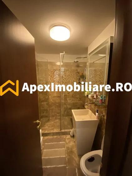 Apartament cu 3 camere decomandat, mobilat în Timișoara