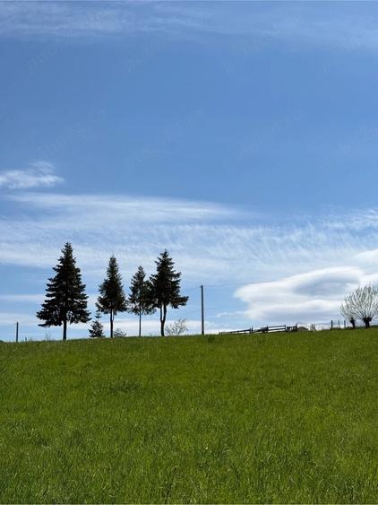 Teren de 2100 mp, în Putna