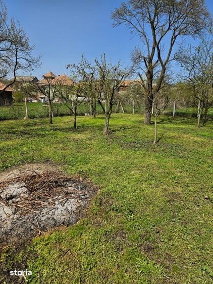 Casă cu 3 camere cu Teren 1700 Mp în Tureni