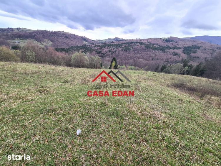 Teren de 20500 mp, în Valea Doftanei