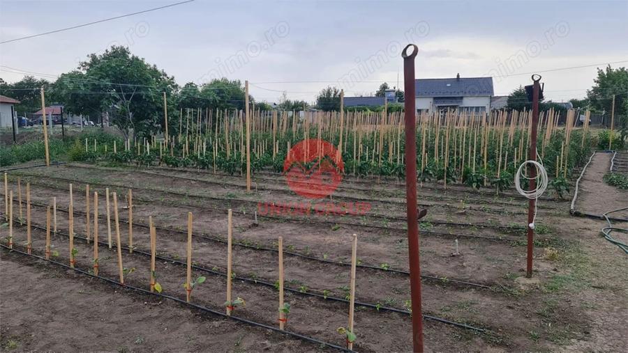 Casă cu Teren 1711 Mp în Topraisar
