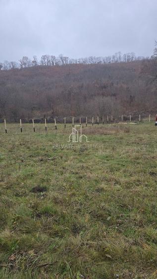 Teren agricol extravilan de 20 mp, în Daneș