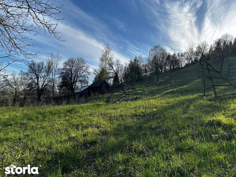 Teren de 2500 mp, în Valea Doftanei