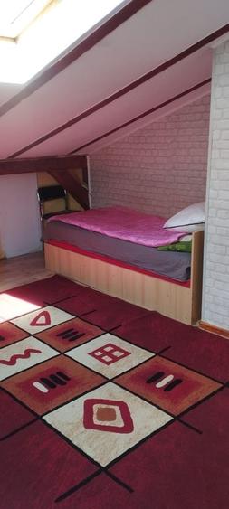 Apartament cu 2 camere decomandat în Ștrand
