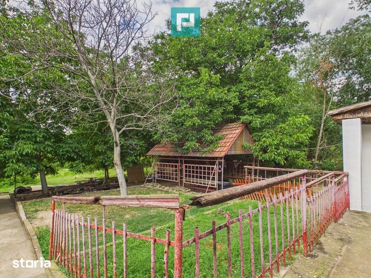 Casă cu 7 camere cu Teren 90000 Mp în Central