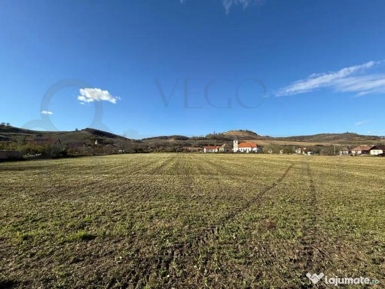 Teren de 7342 mp, în Alma