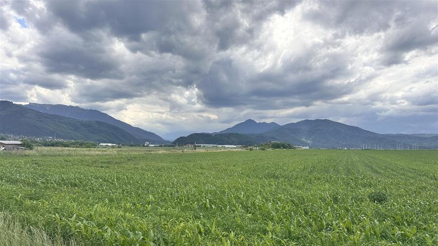 Teren agricol extravilan de 400 mp, în Turcheș