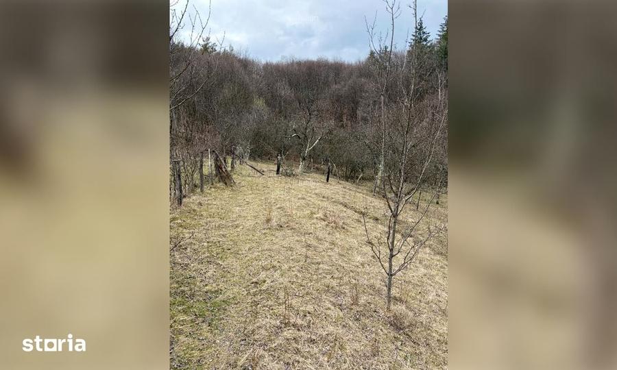 Teren de 3300 mp, în Sălătrucel