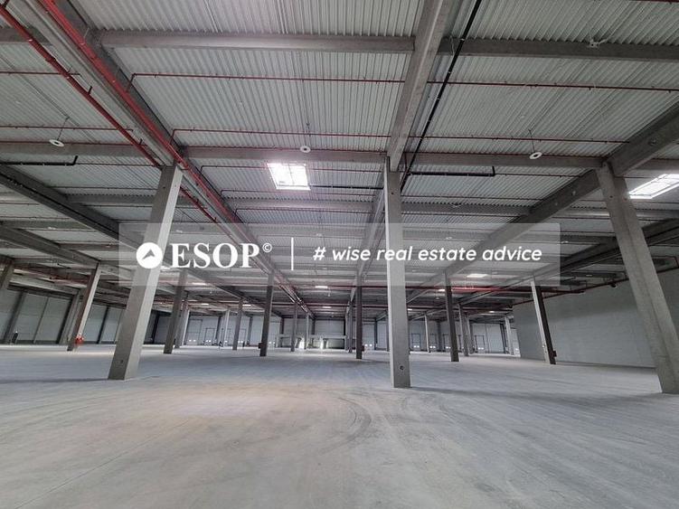 Spațiu industrial, de 7,000 mp, în Sud
