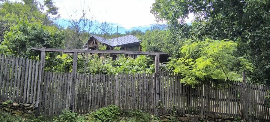 Casă cu 2 camere în Salcia