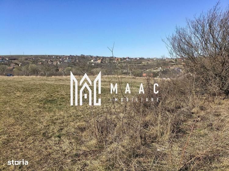Spațiu comercial, în Daia