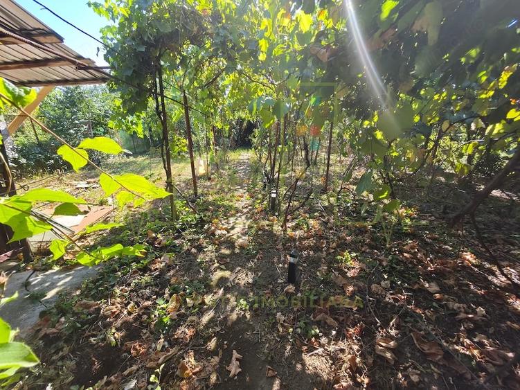 Casă cu 3 camere cu Teren 380 Mp în Freidorf