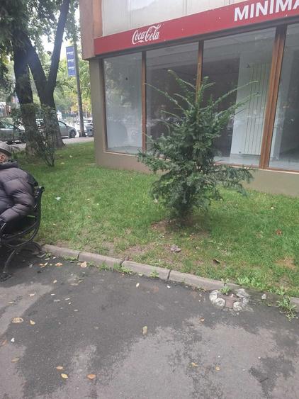 Spațiu comercial, de 60 mp, în Mihai Bravu