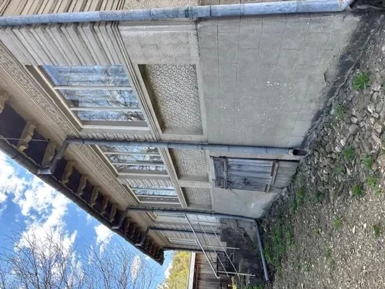 Casă cu Teren 3384 Mp în Bârsănești