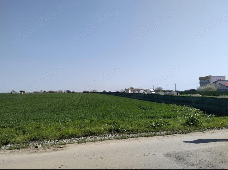 Teren de 5000 mp, în Schitu