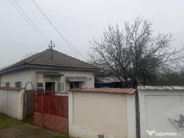 Casă cu 2 camere cu Teren 1000 Mp în Central