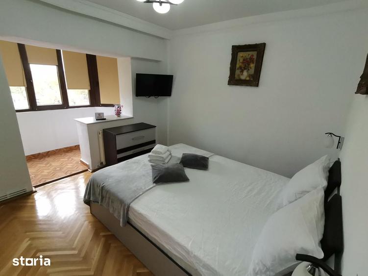 Apartament cu 2 camere decomandat în Sub Arini