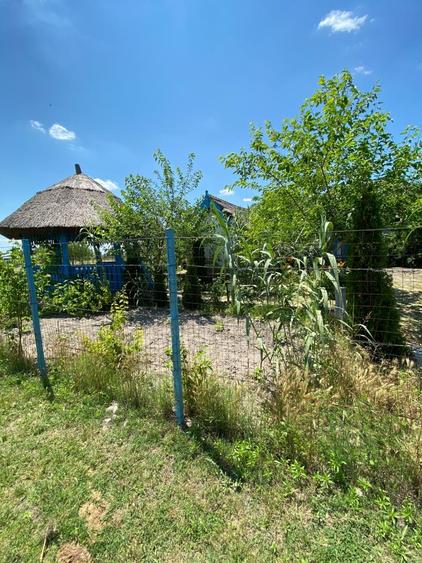Casă individuală cu 6 camere cu Canalizare în Caraorman