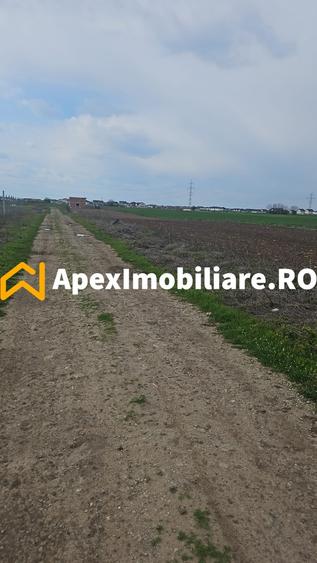 Teren Construcții intravilan de 340 mp, în Berceni