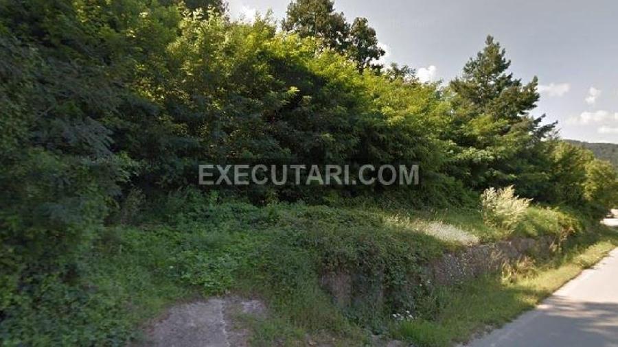 Teren intravilan 3.000 mp, BACAU, TARGU OCNA - 3