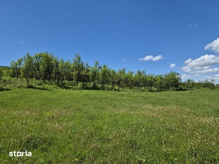 Teren de 3632 mp, în Cornești