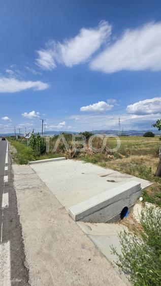 Teren Construcții extravilan de 3900 mp, în Pianu de Jos