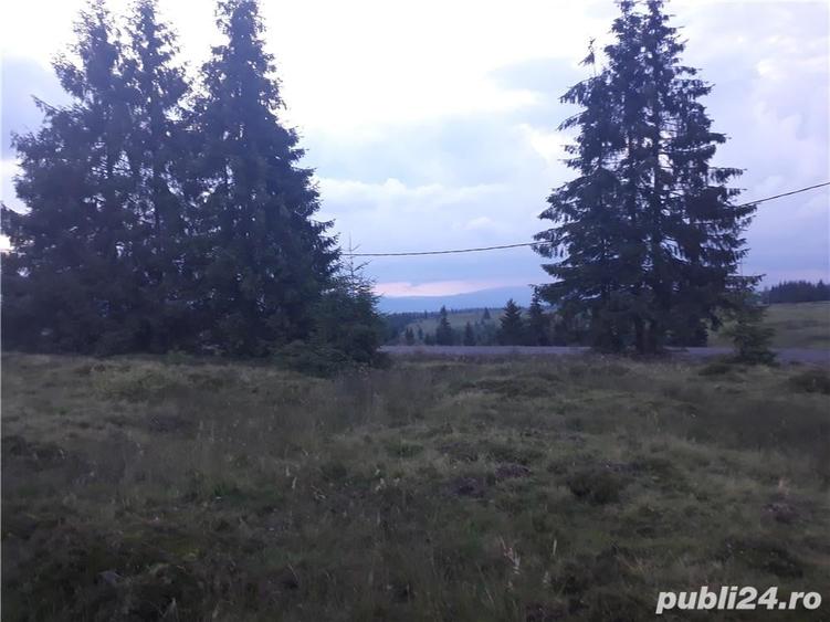 Teren în Beliș