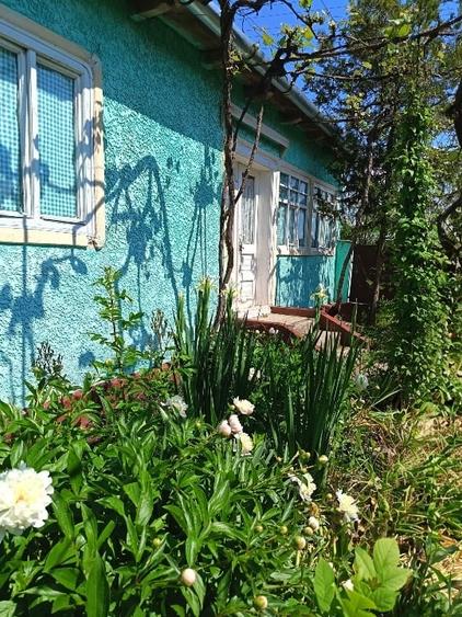 Casă individuală cu 4 camere cu Teren 1924 Mp în Susag