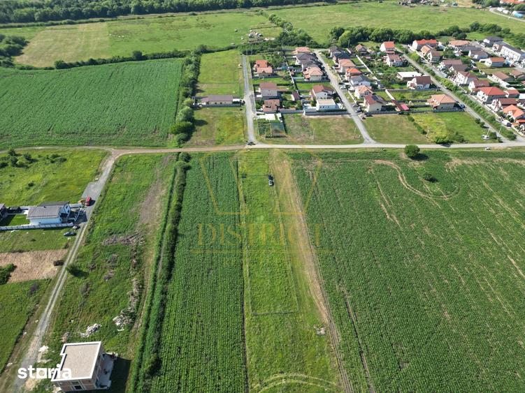 Teren de 1698 mp, în Buziașului