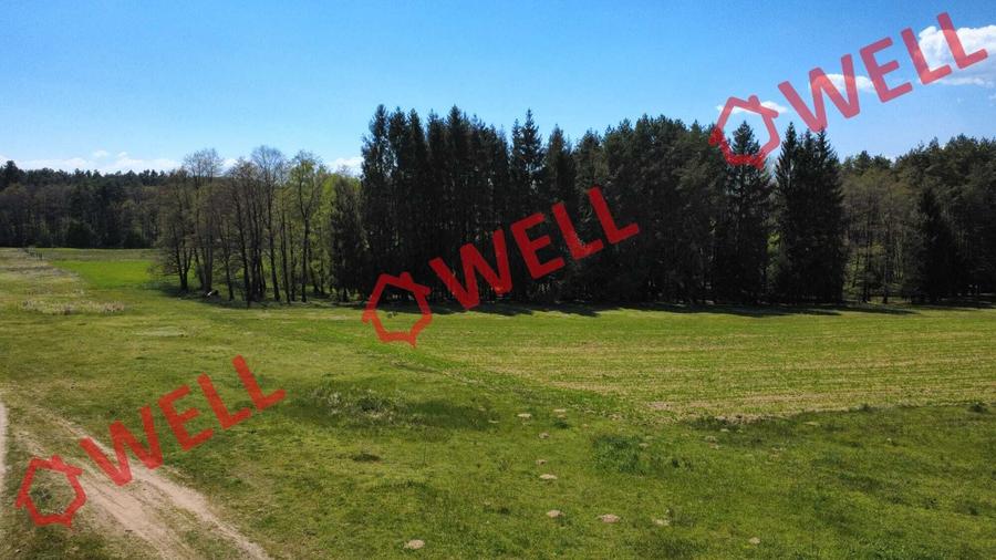 Teren agricol extravilan de 2900 mp, în Reci