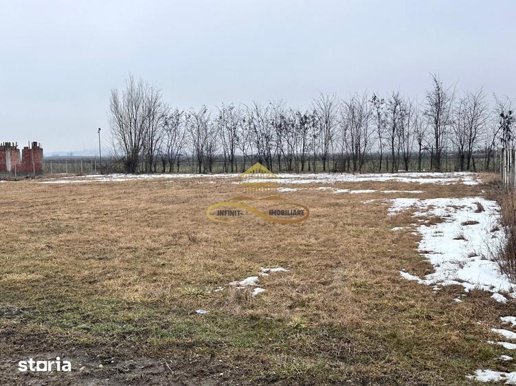 Teren de 900 mp, în Săucești