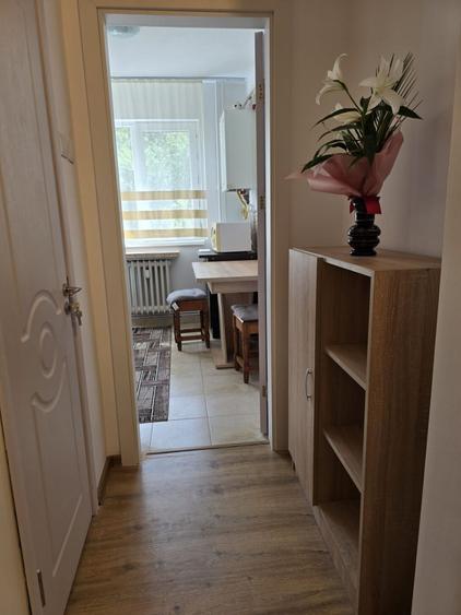 Apartament 2 camere de inchiriat zona Tatarasi - 14