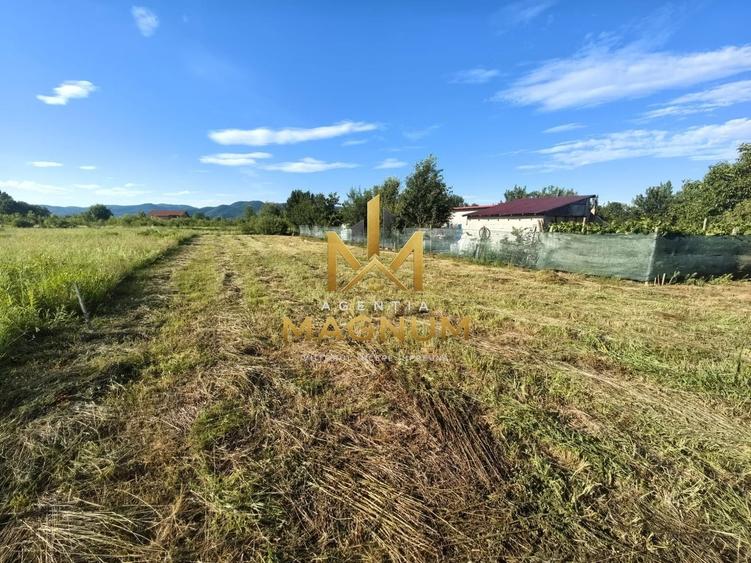 Teren Construcții intravilan de 600 mp, în Bușag