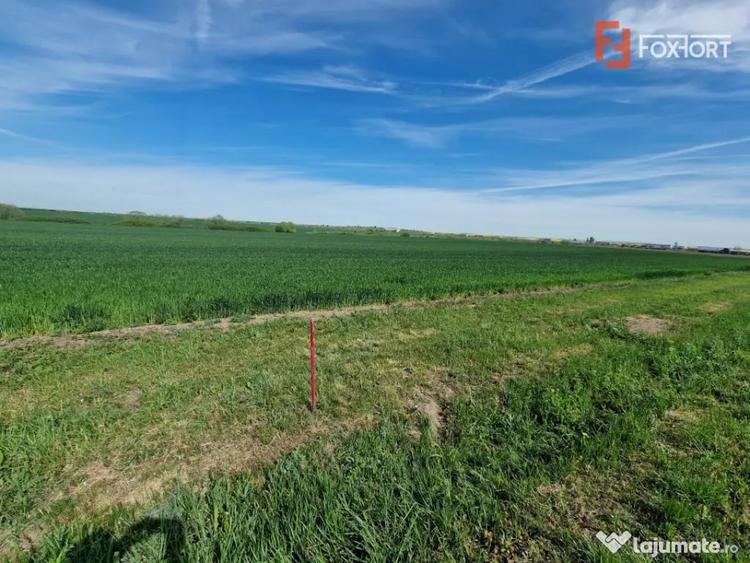 Teren extravilan de 9500 mp de vanzare in Remetea Mare - Remetea Mare (Timis) - 1