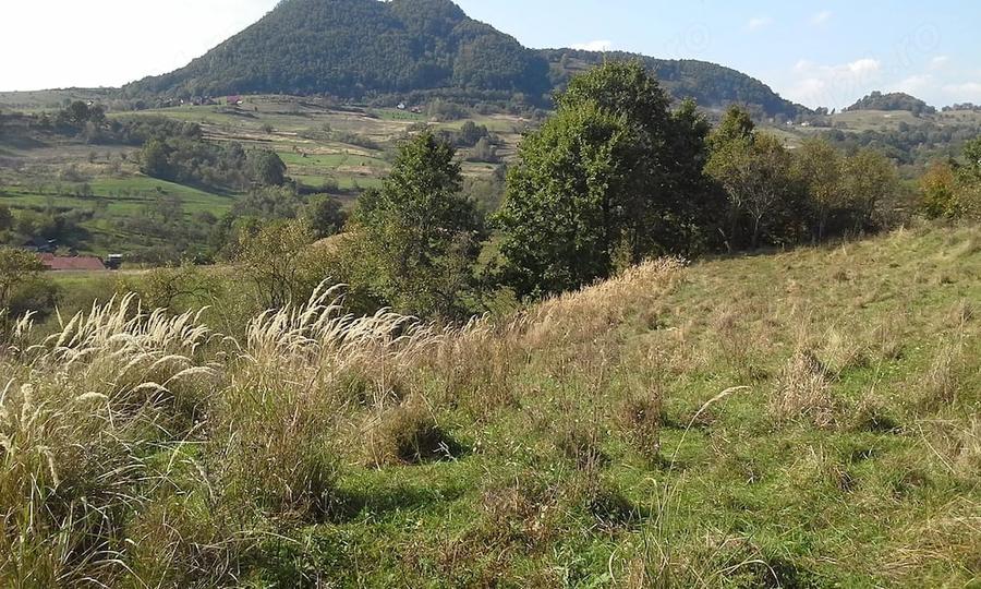 Casă cu Teren 4200 Mp în Șard