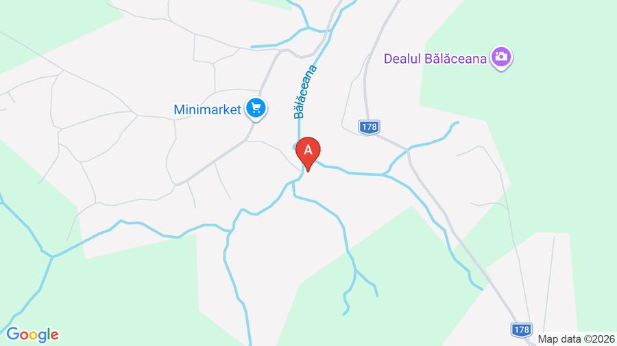 Casă individuală cu 2 camere cu Teren 4200 Mp în Bălăceana