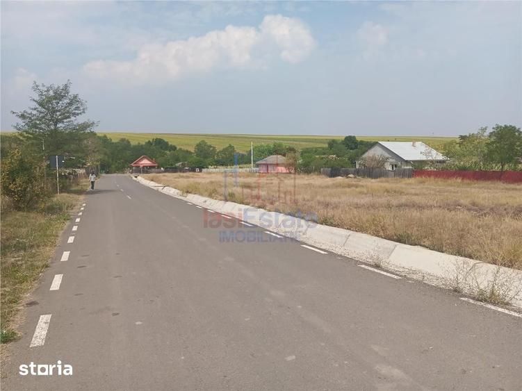 Bogonos Letcani 3 loturi x500mp cu Aut De Constr la str asfaltata cu t - 8