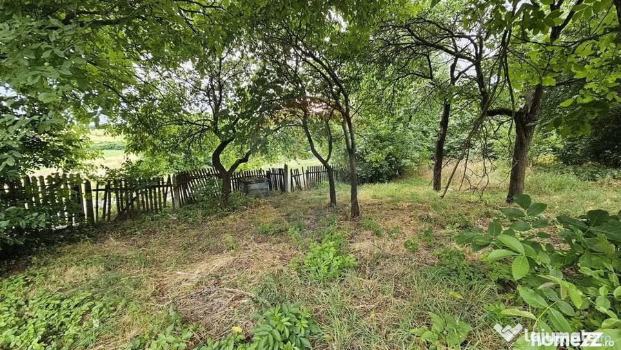 Teren de 2036 mp, în Pădureni (Șendriceni)