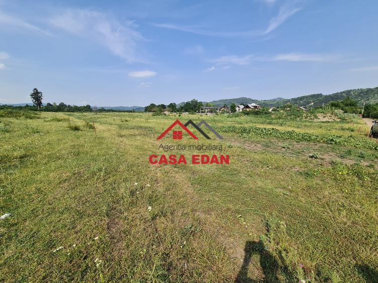Teren Construcții intravilan de 7500 mp, în Câmpina