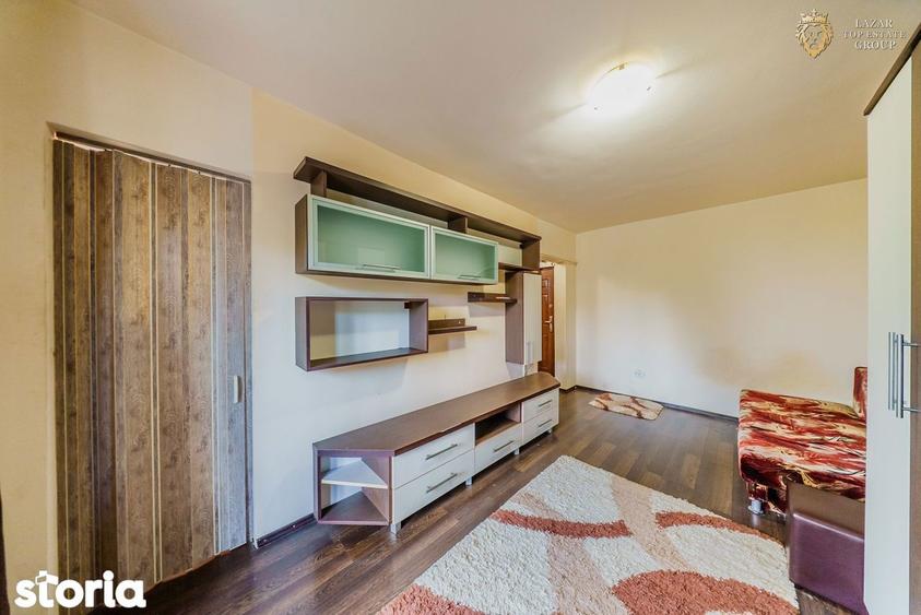 Apartament 1 camera Micalca de vanzare - 2