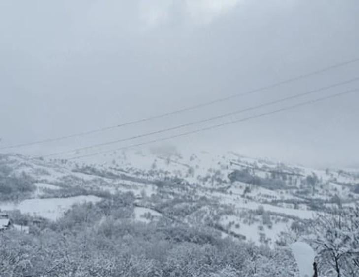 Teren de 5000 mp, în Brăești